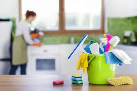 Imagem Ilustrando Clean house sp